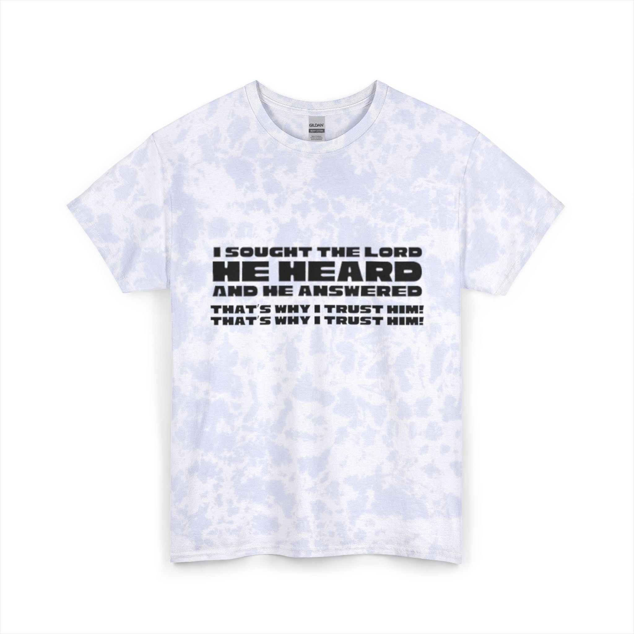 I Sought the Lord Graphic T-Shirt