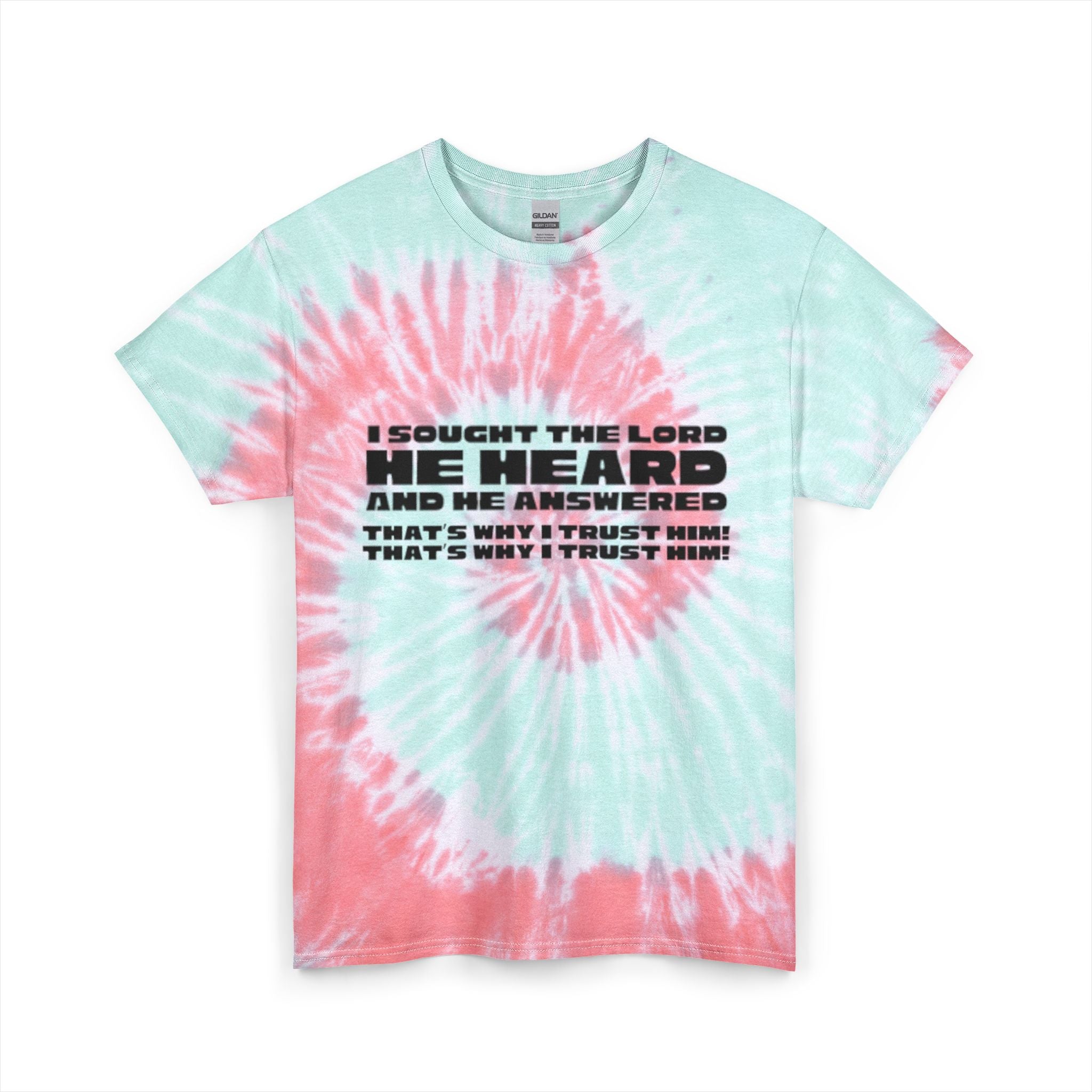 I Sought the Lord Graphic T-Shirt