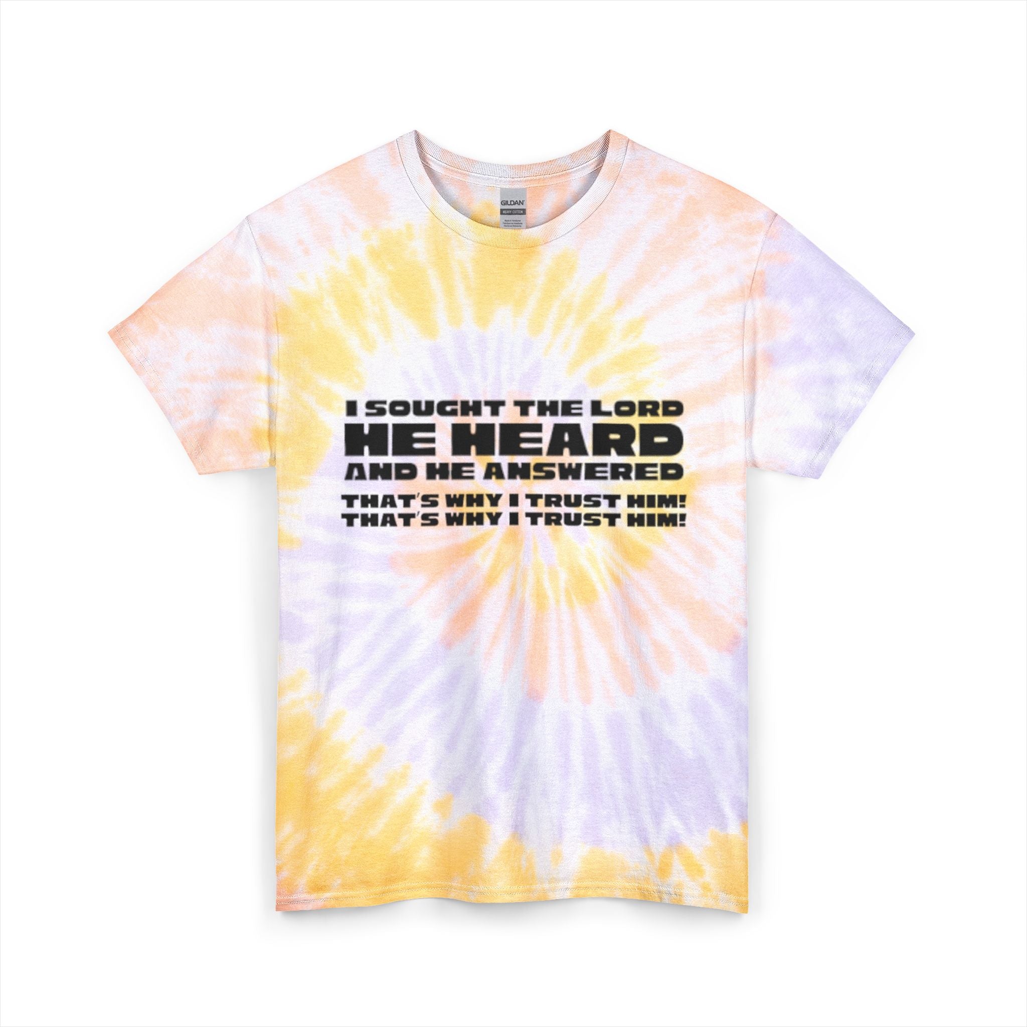 I Sought the Lord Graphic T-Shirt